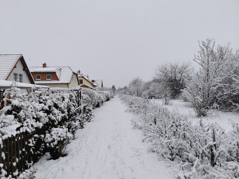 Sneeuw in Cuijk: gladheid, verkeer en kans op overlast