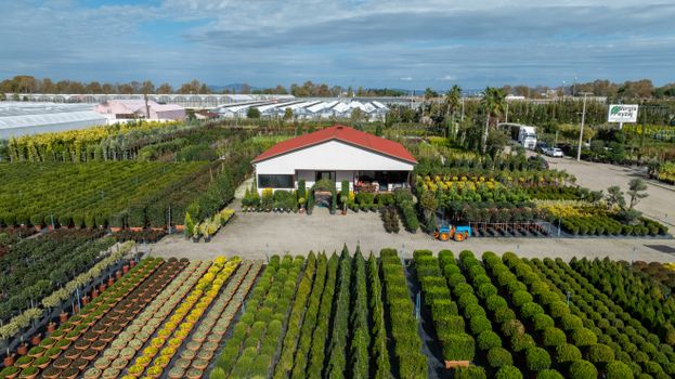 Tuincentrum open vandaag in Cuijk en omgeving? Dit zijn de handigste opties op woensdag 6 mei
